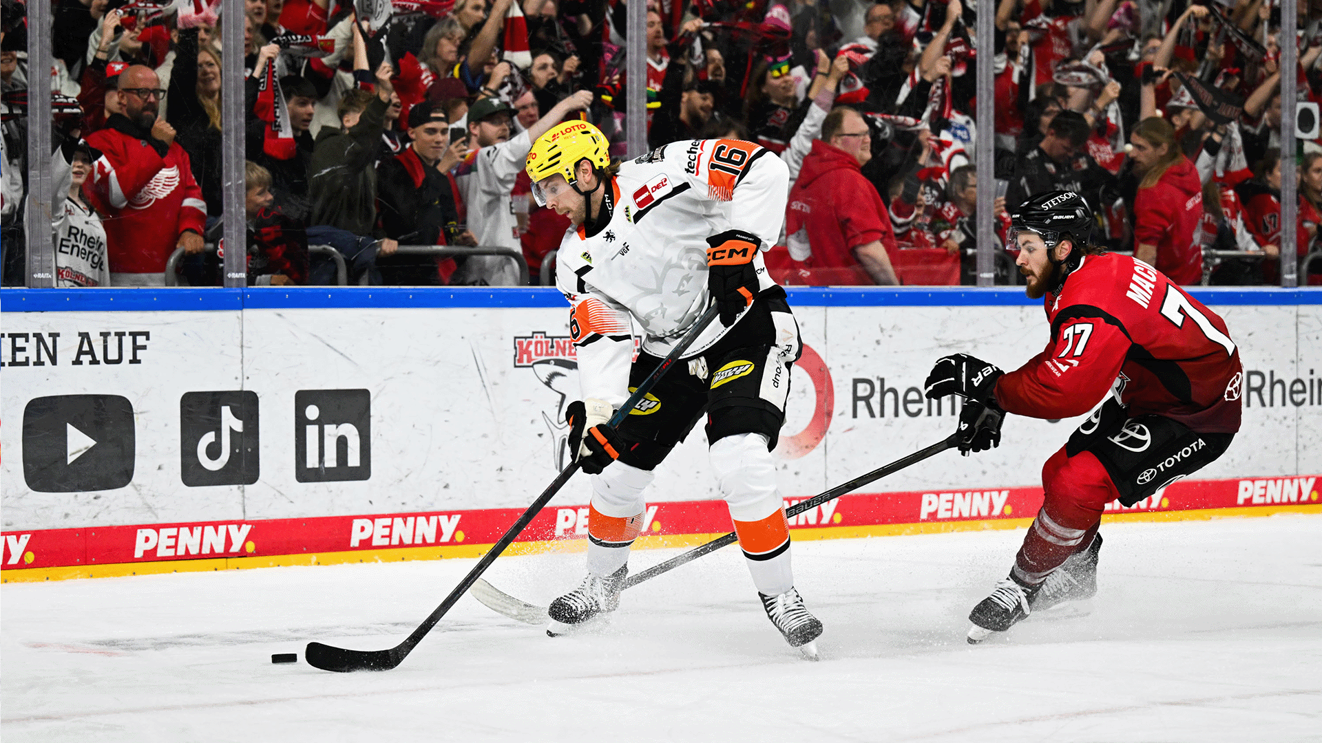Kölner Haie gg. Löwen Frankfurt